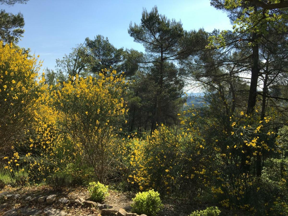 Villa De Carbonelle Pierrevert Εξωτερικό φωτογραφία