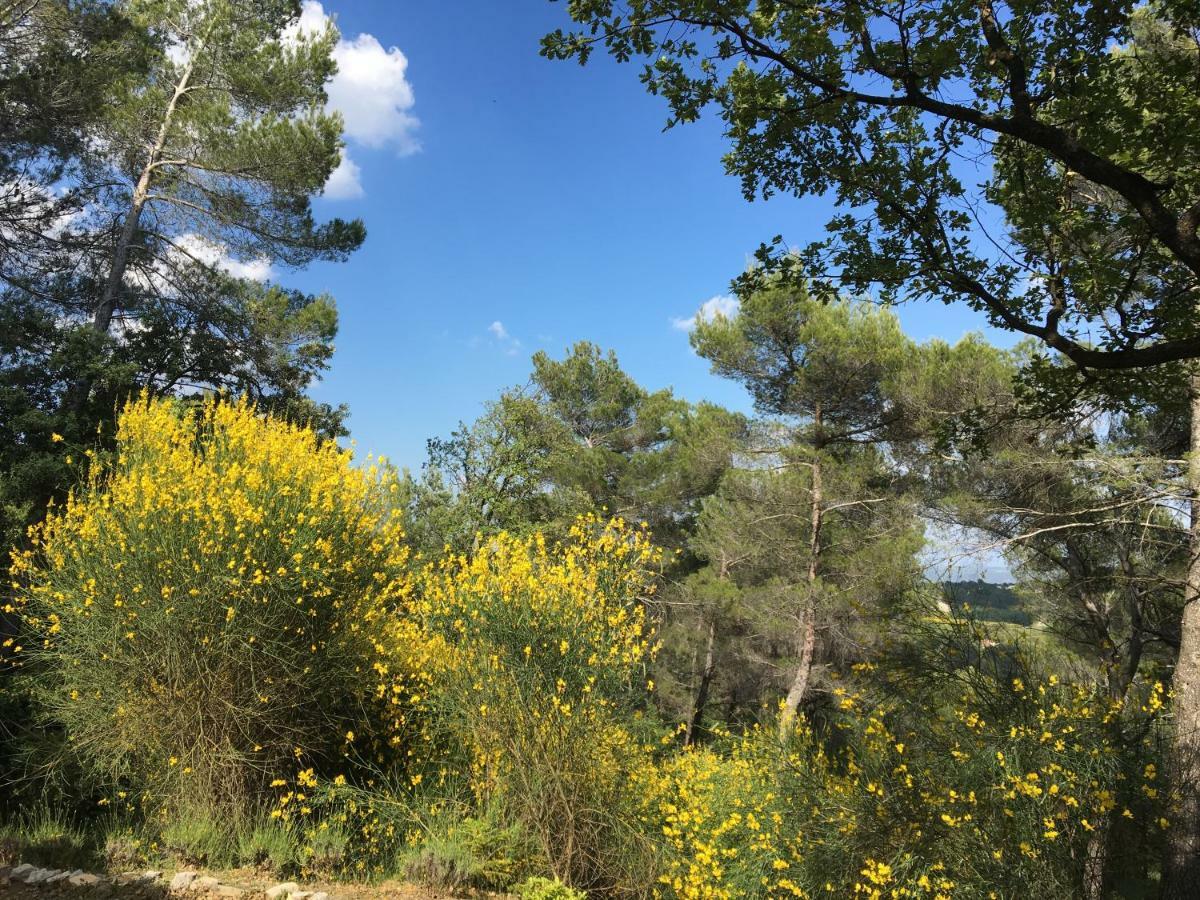 Villa De Carbonelle Pierrevert Εξωτερικό φωτογραφία