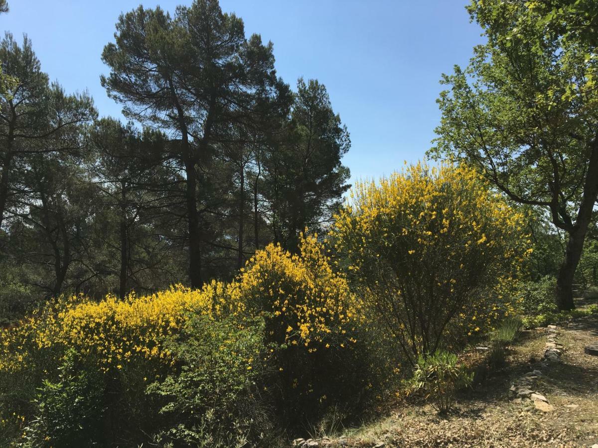 Villa De Carbonelle Pierrevert Εξωτερικό φωτογραφία